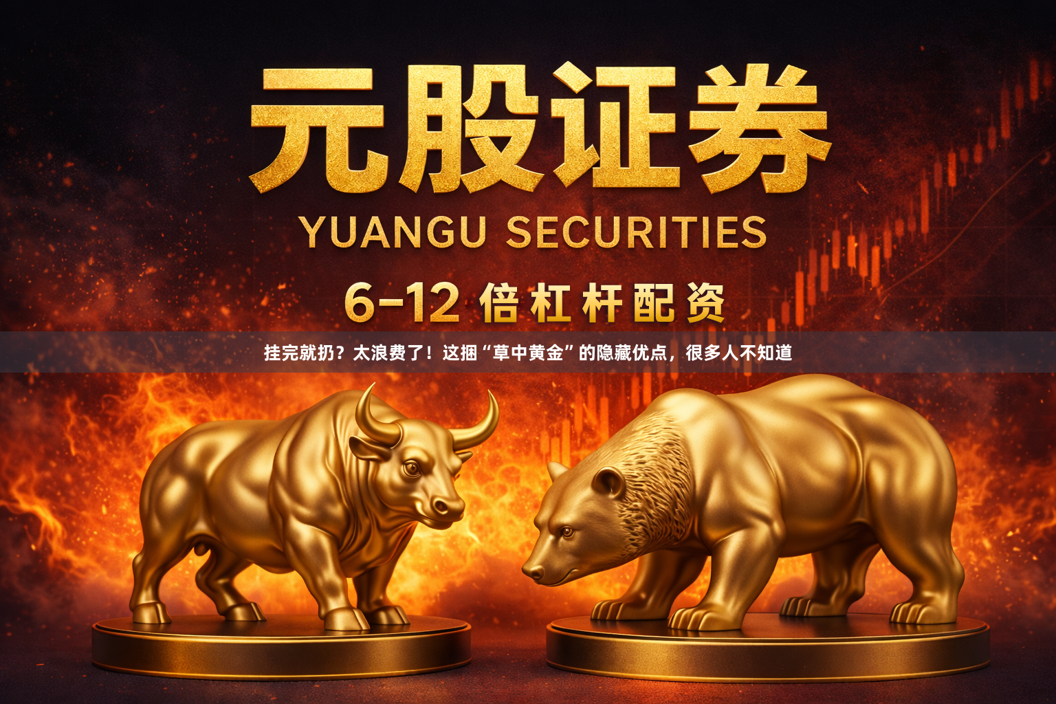 挂完就扔？太浪费了！这捆“草中黄金”的隐藏优点，很多人不知道
