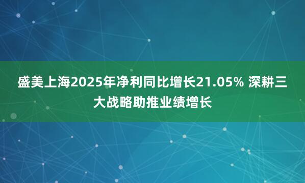 盛美上海2025年净利同比增长21.05% 深耕三大战略助推业绩增长