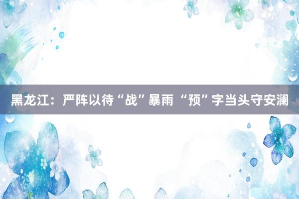 黑龙江：严阵以待“战”暴雨 “预”字当头守安澜