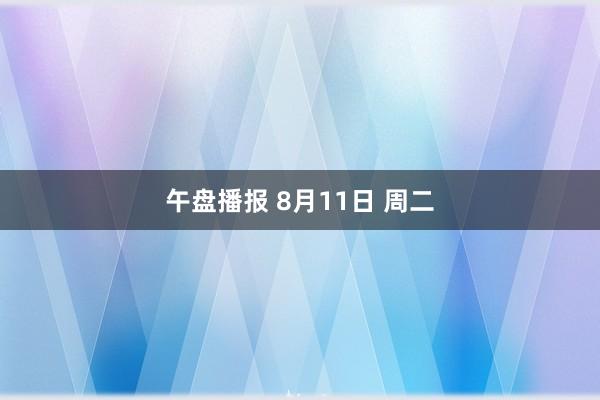 午盘播报 8月11日 周二
