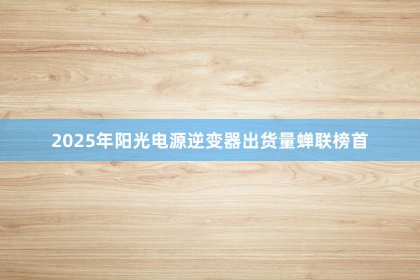 2025年阳光电源逆变器出货量蝉联榜首