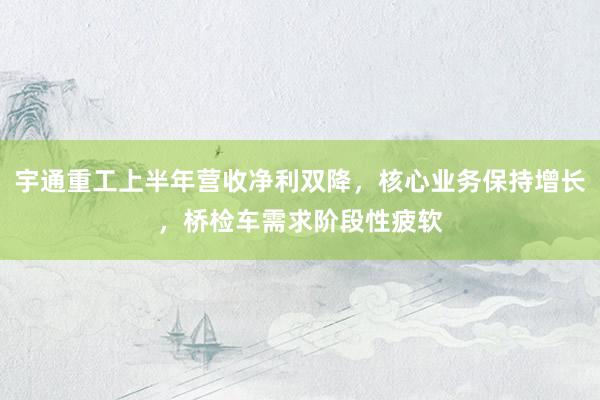 宇通重工上半年营收净利双降,核心业务保持增长,桥检车需求阶段性疲软
