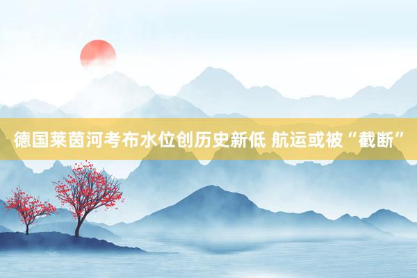 德国莱茵河考布水位创历史新低 航运或被“截断”