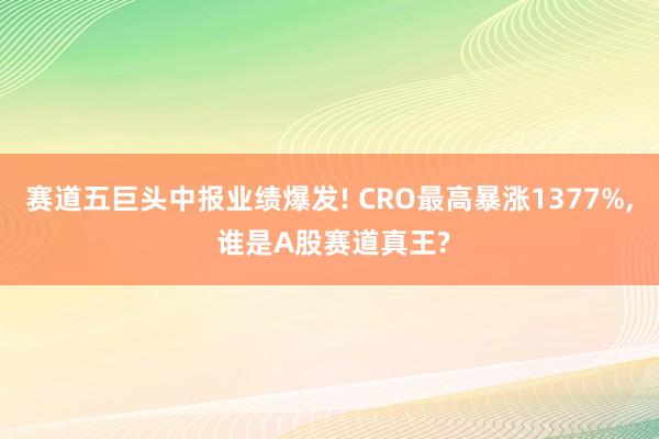 赛道五巨头中报业绩爆发! CRO最高暴涨1377%, 谁是A股赛道真王?