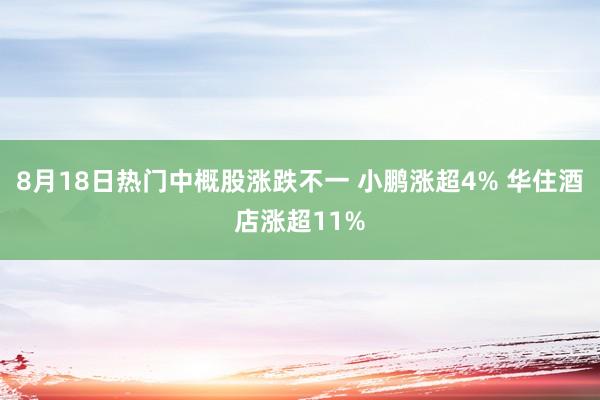 8月18日热门中概股涨跌不一 小鹏涨超4% 华住酒店涨超11%
