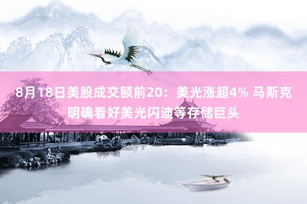 8月18日美股成交额前20：美光涨超4% 马斯克明确看好美光闪迪等存储巨头