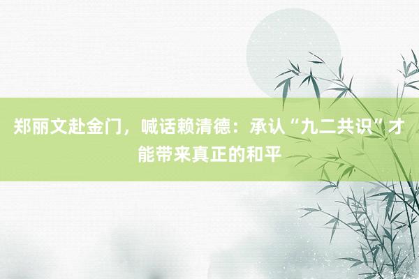 郑丽文赴金门，喊话赖清德：承认“九二共识”才能带来真正的和平