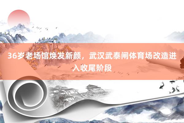 36岁老场馆焕发新颜，武汉武泰闸体育场改造进入收尾阶段