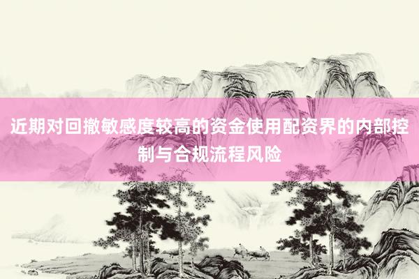 近期对回撤敏感度较高的资金使用配资界的内部控制与合规流程风险