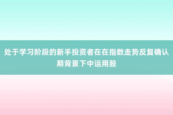 处于学习阶段的新手投资者在在指数走势反复确认期背景下中运用股
