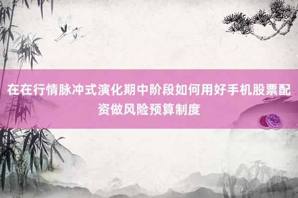 在在行情脉冲式演化期中阶段如何用好手机股票配资做风险预算制度