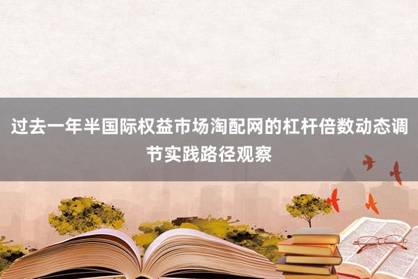 过去一年半国际权益市场淘配网的杠杆倍数动态调节实践路径观察