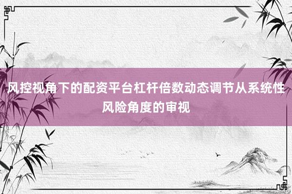 风控视角下的配资平台杠杆倍数动态调节从系统性风险角度的审视