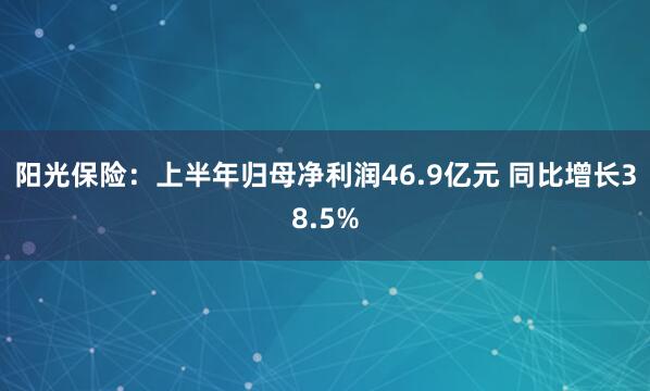 阳光保险：上半年归母净利润46.9亿元 同比增长38.5%