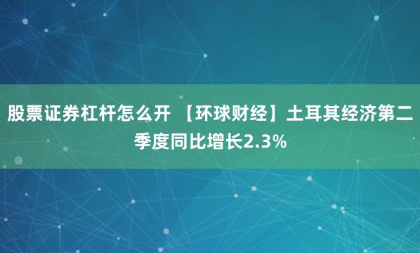 股票证券杠杆怎么开 【环球财经】土耳其经济第二季度同比增长2.3%