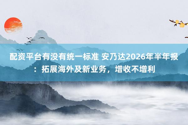 配资平台有没有统一标准 安乃达2026年半年报：拓展海外及新业务，增收不增利