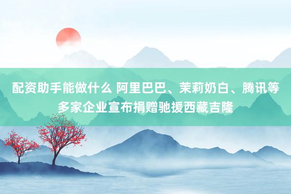 配资助手能做什么 阿里巴巴、茉莉奶白、腾讯等多家企业宣布捐赠驰援西藏吉隆