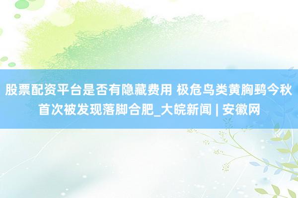 股票配资平台是否有隐藏费用 极危鸟类黄胸鹀今秋首次被发现落脚合肥_大皖新闻 | 安徽网