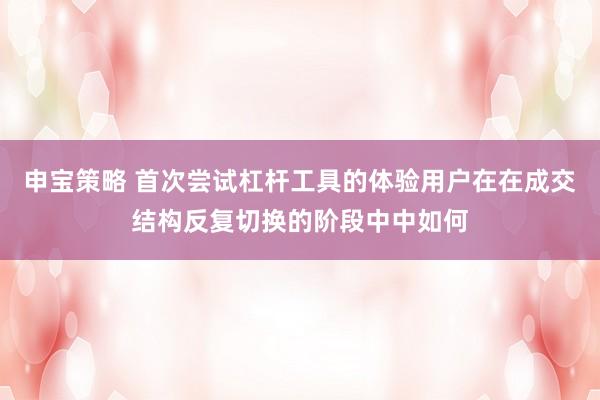 申宝策略 首次尝试杠杆工具的体验用户在在成交结构反复切换的阶段中中如何