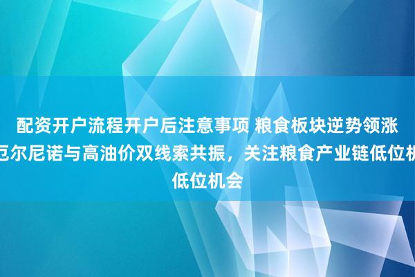 配资开户流程开户后注意事项 粮食板块逆势领涨，厄尔尼诺与高油价双线索共振，关注粮食产业链低位机会