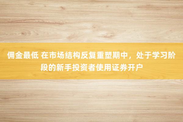佣金最低 在市场结构反复重塑期中，处于学习阶段的新手投资者使用证券开户