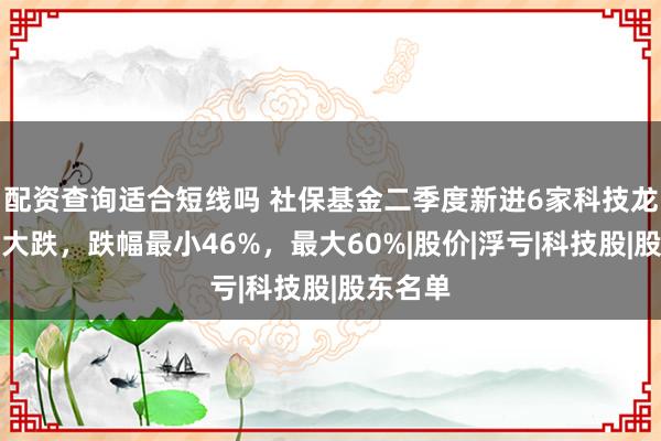 配资查询适合短线吗 社保基金二季度新进6家科技龙头全部大跌，跌幅最小46%，最大60%|股价|浮亏|科技股|股东名单