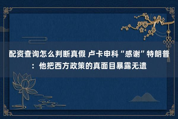 配资查询怎么判断真假 卢卡申科“感谢”特朗普：他把西方政策的真面目暴露无遗